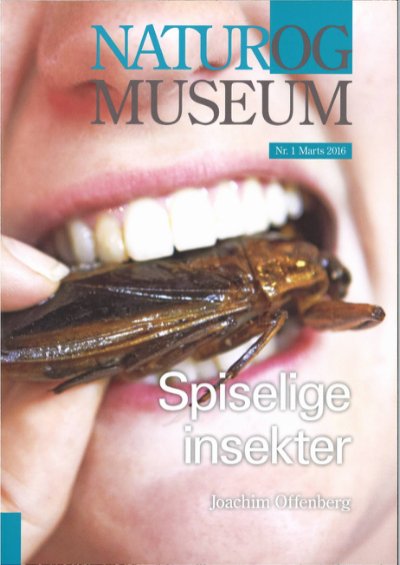 Spiselige insekter